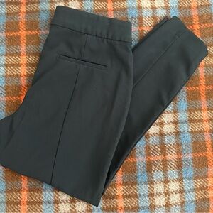 Express Professional Pants